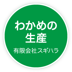 わかめの生産